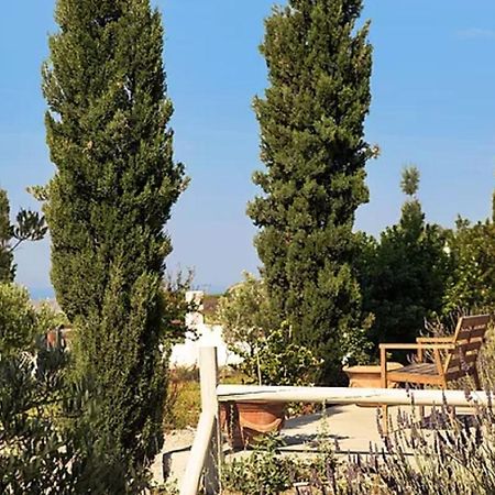 Christou Estate & Villas Pírgosz Kültér fotó