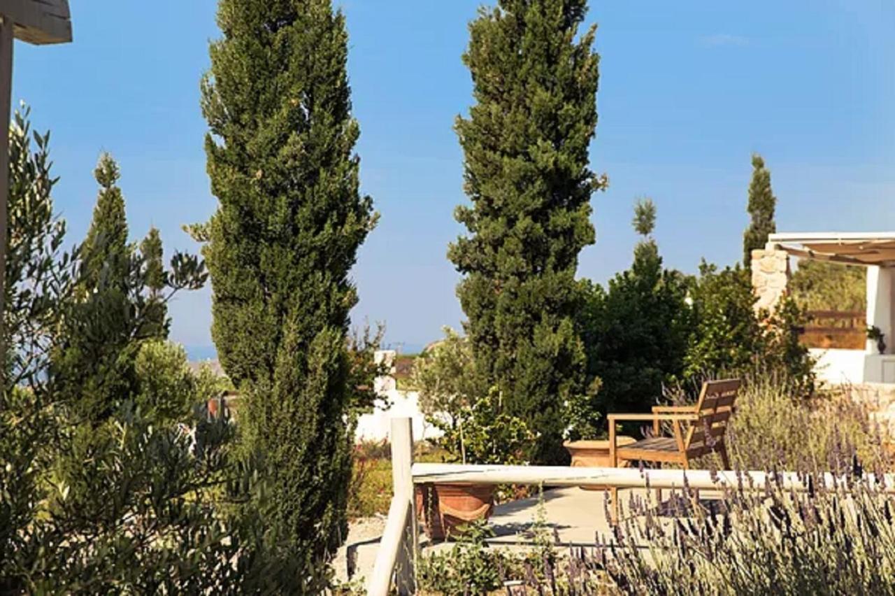 Christou Estate & Villas Pírgosz Kültér fotó